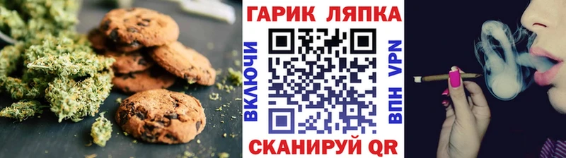 Купить закладки  Закаменск  Cannafood конопля 