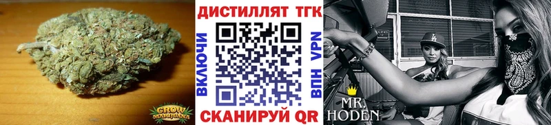 ТГК Wax  Купить где  Закаменск 