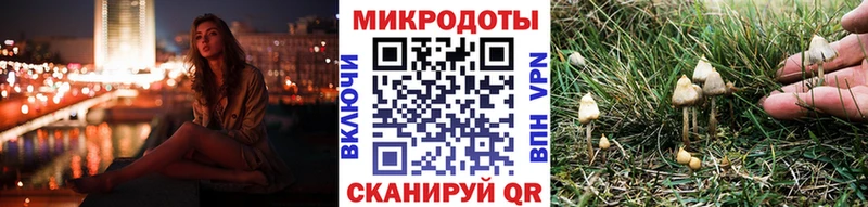 Купить  Закаменск  Псилоцибиновые грибы MAGIC MUSHROOMS 